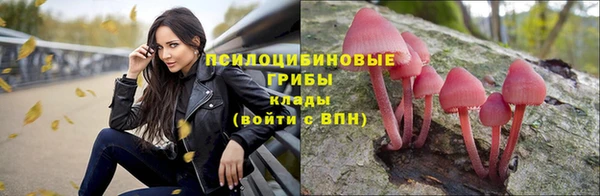 MDMA Premium VHQ Белокуриха
