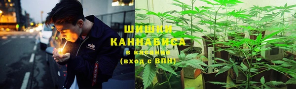 PSILOCYBIN Ростов