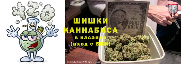 PSILOCYBIN Ростов
